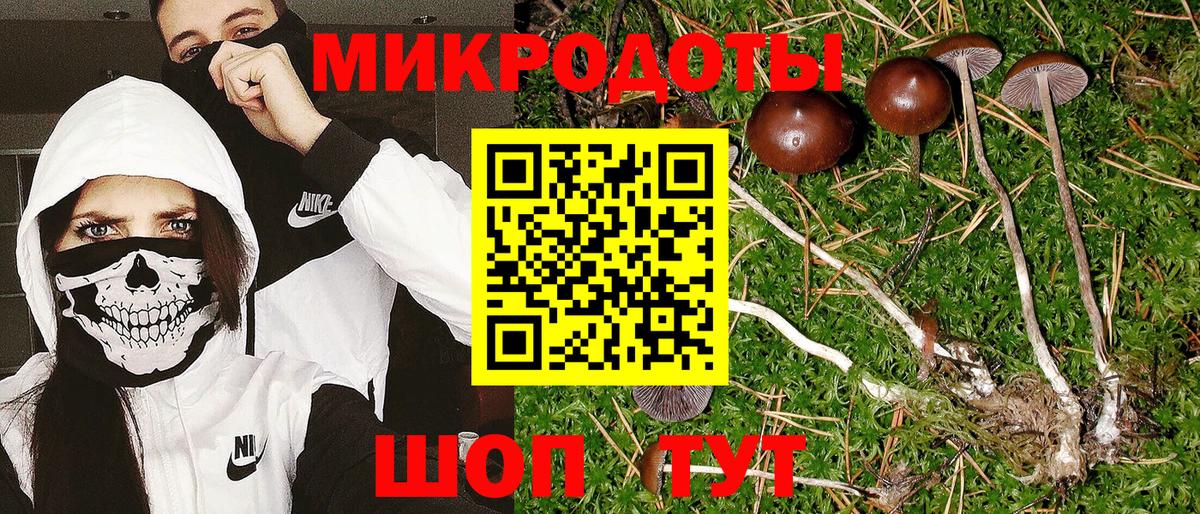 Псилоцибиновые грибы прущие грибы  Вход с VPN  Котельники 